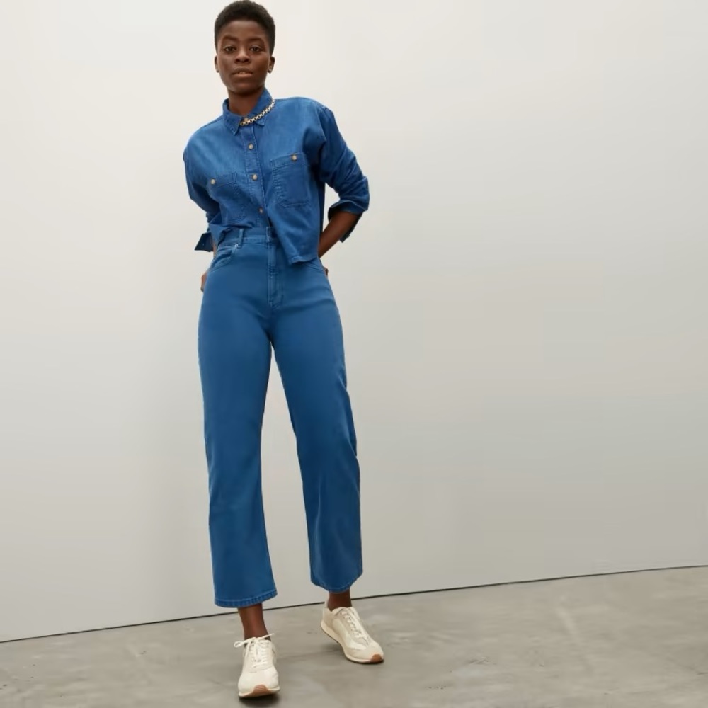 NEW Everlane The Way-High Jean